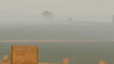 Circuit Board - professional stock photography