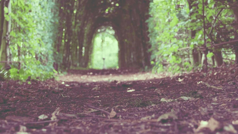 Circuit Board - professional stock photography